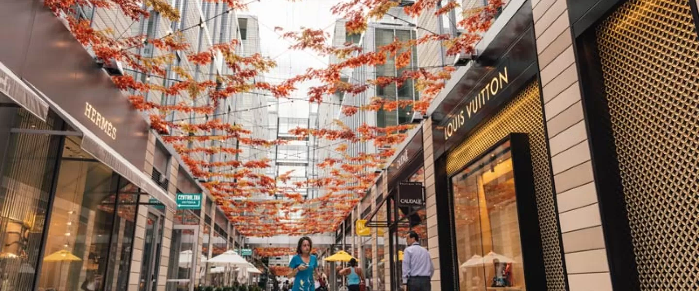 Herbstinstallation in der Palmer Alley im CityCenterDC – Einkaufsmöglichkeiten in Washington, DC
