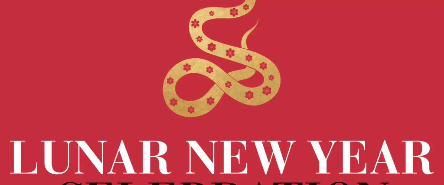 chinese new year activities in washington dc