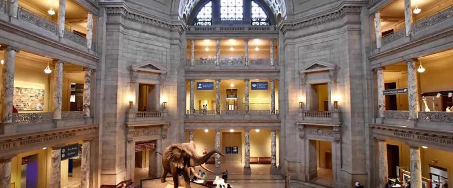 国立自然史博物館を訪問| ワシントンDC