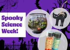 Spooky Science Week at Because Science