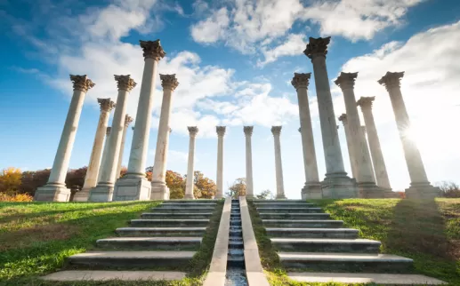 Herbstlaub rund um die Capitol Columns im US National Arboretum - Kostenlose Outdoor-Aktivitäten in Washington, DC