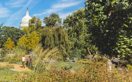 Garten im Freien im Botanischen Garten der Vereinigten Staaten - Frei lebendes Museum in Washington, DC