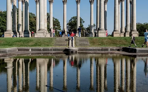 ワシントンDCの米国国立樹木園-無料の家族向けの屋外アトラクション