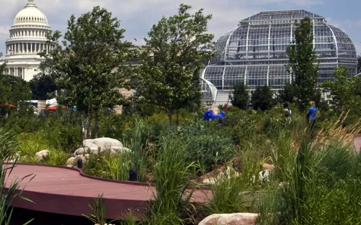 Jardin botanique des États-Unis et le dôme du Capitole des États-Unis - Activités sur la colline du Capitole à Washington, DC