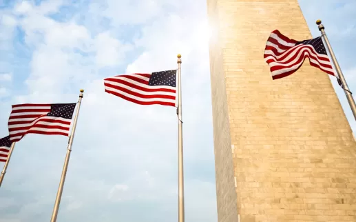 USA flags around Washington Monument
