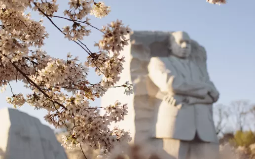 MLK Jr Memorial y cerezos en flor en primavera