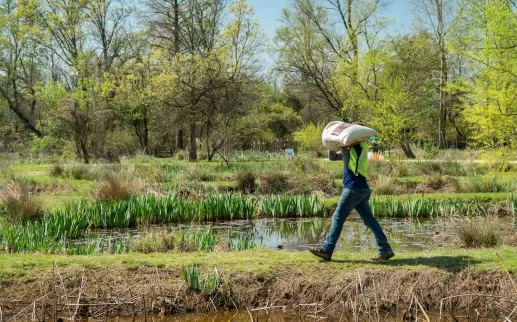Casey Trees - volunteer with bag