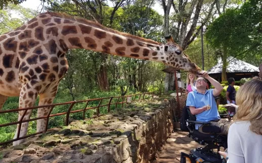 Voyage en fauteuil roulant - Propriétaire de Voyage en fauteuil roulant nourrir une girafe