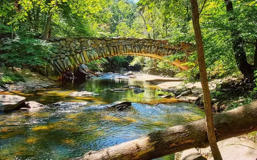 Escena de la naturaleza con arroyo y puente en Rock Creek Park