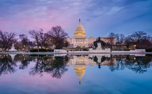 US Capitol Winter
