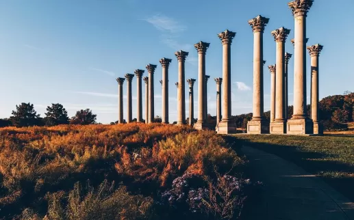 Arboreto Nacional dos Estados Unidos