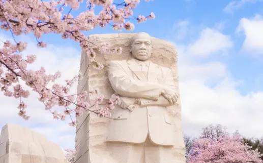 Cherry Blossoms at MLK Memorial