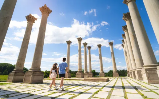 United States National Arboretum