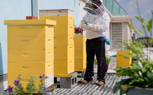 un apicultor tiende a torres amarillas de colmenas cerradas en una terraza al aire libre