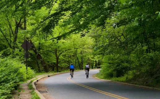 two bikers on a paved road in the lush, green Rock Creek Park
