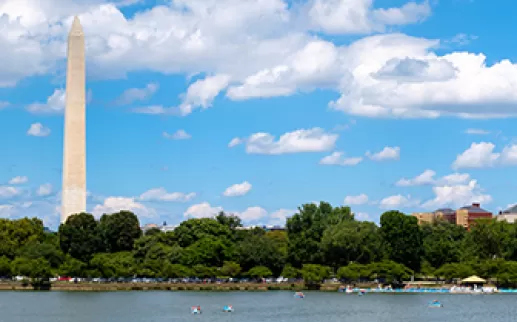 Tidal Basin in Summer
