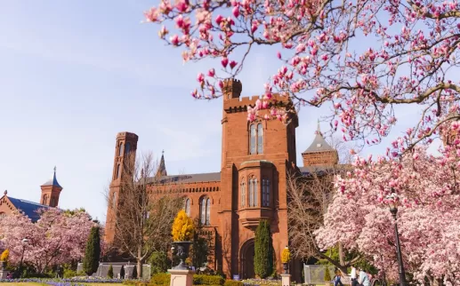 Picture of Enid Haupt Garden 