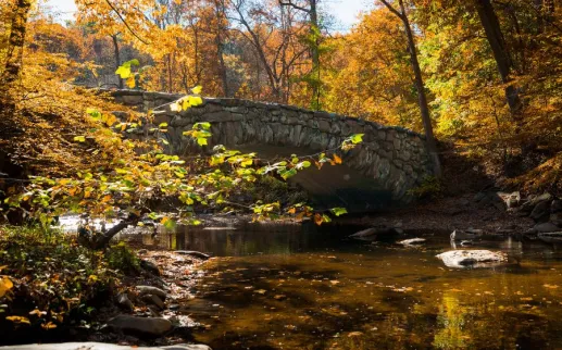 Rock Creek Park in Fall
