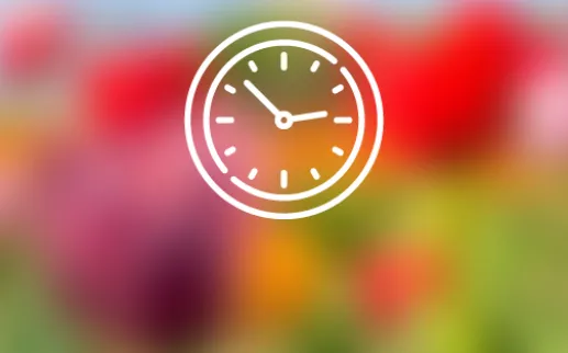 A simple clock icon represents timed entry information.
