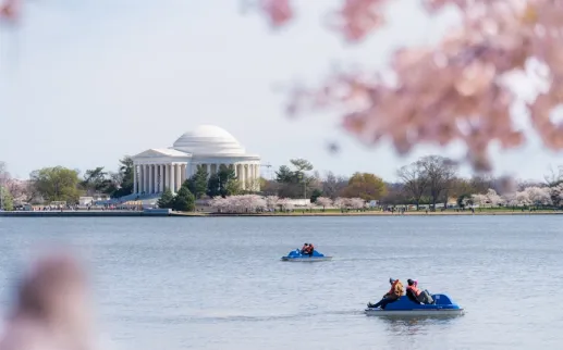 A view of the Jefferson Memorial from across the Tidal Basin, with blooming cherry blossom trees in the foreground and paddle boats in the water.