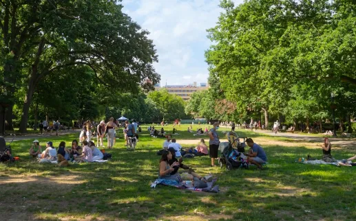People relaxing and picnicking on a grassy park lawn under large trees, sunny day