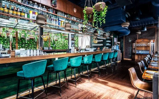 Empty bar with teal stools, hanging plants and sunlit wood floors