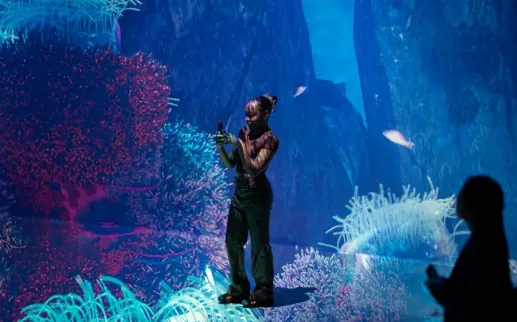 SUBMERGE at ARTECHOUSE