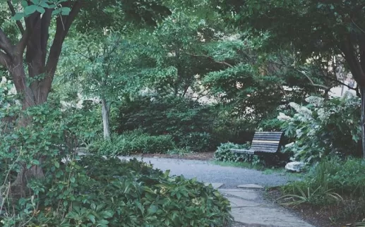 @skyleraevans - Crispus Attucks Park in Bloomingdale - Public parks in Washington, DC
