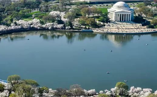 Votre guide de voyage vert de Washington, DC pour savoir où trouver des hôtels durables, des attractions écologiques, des aliments d'origine locale, des lieux certifiés LEED et plus encore