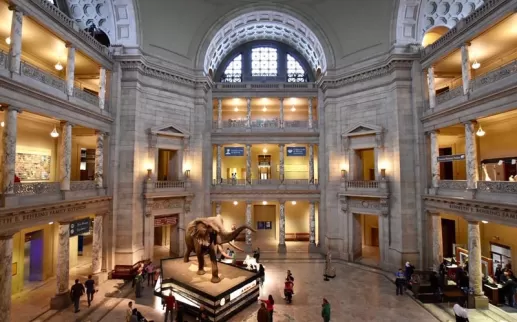 @michellefortephotography - Atrium at Smithsonian National Museum of Natural History on the National Mall - Free Museum in Washington, DC