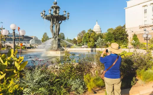 國家廣場上的美國植物園 - 華盛頓特區的免費博物館