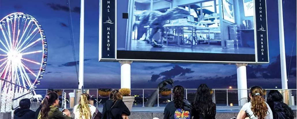 Onde desfrutar de um filme ao ar livre e drive-in em DC
