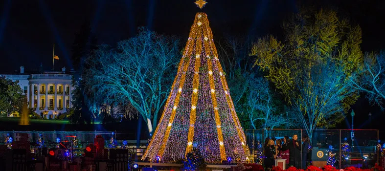 iluminação nacional da árvore de natal