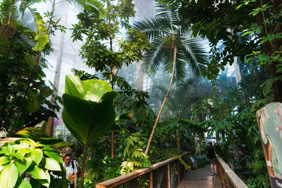 U.S. Botanic Garden