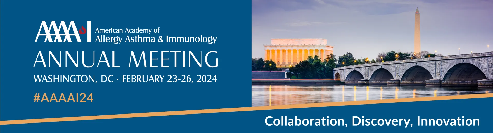 AAAAI Annual Meeting Banner