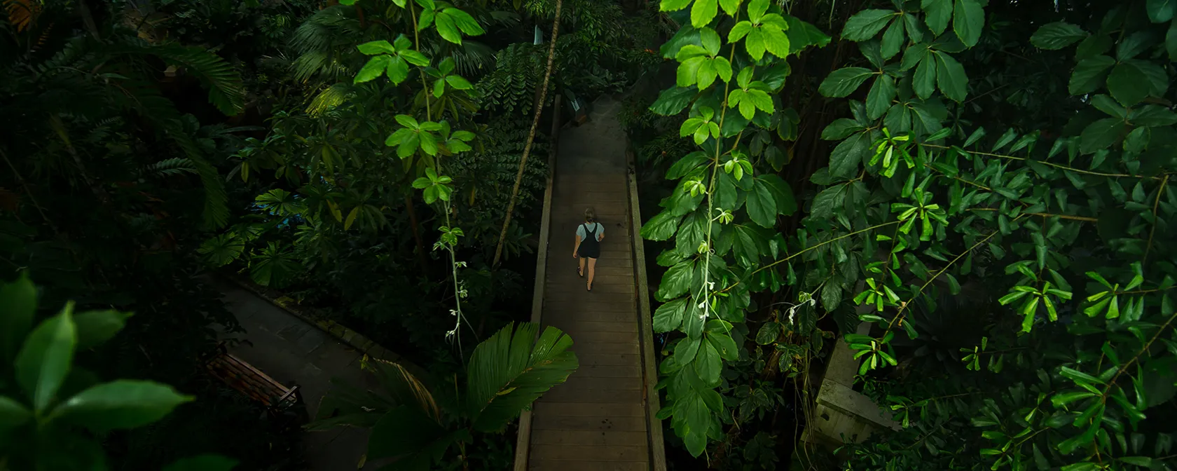 U.S. Botanic Garden