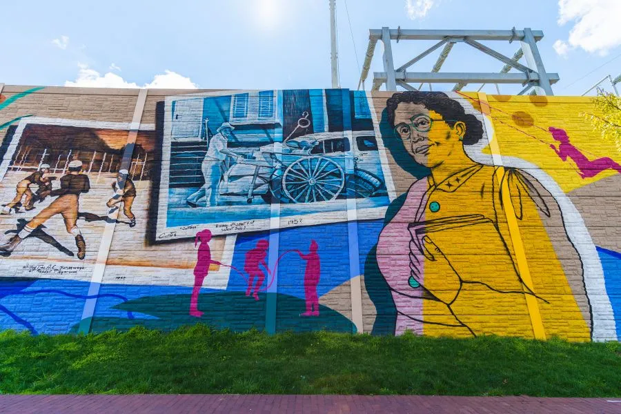 'The Beauty of Buzzard Point' mural