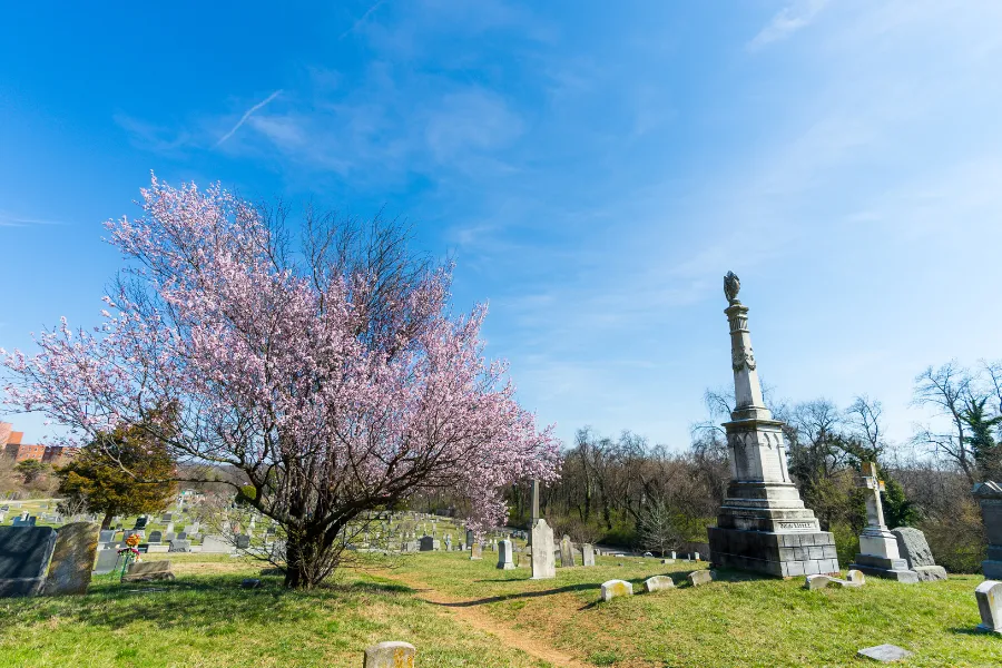 Congressional Cemetery