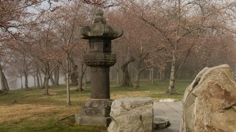 Japanese Stone Lantern