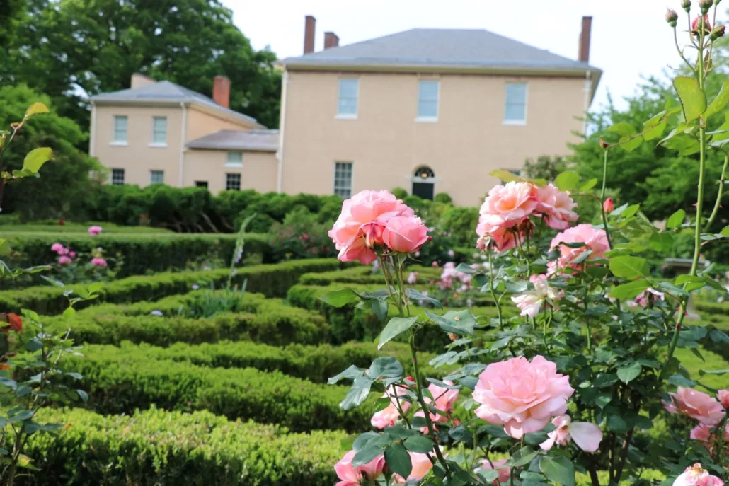 Garden from Tudor House 