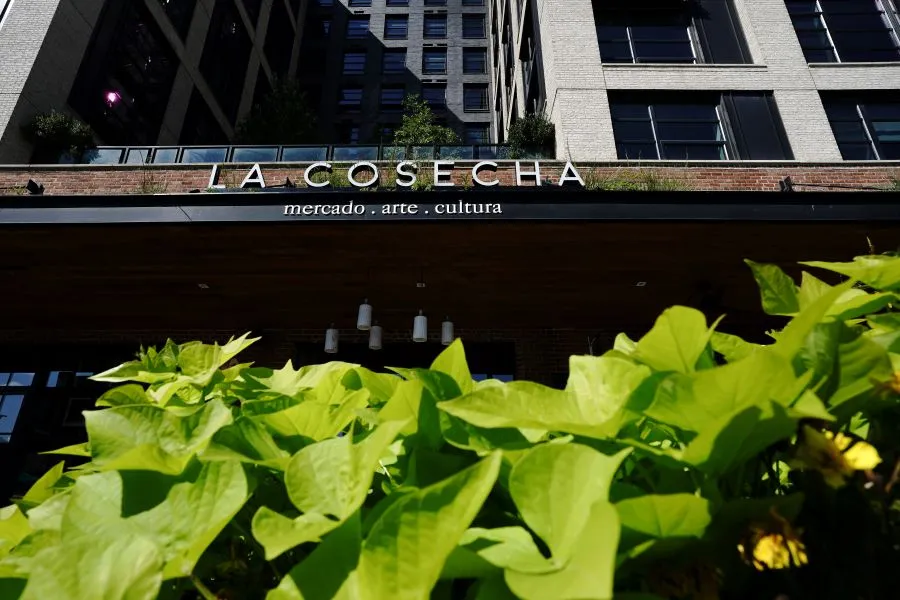 Green leaves outside of a restaurant facade 