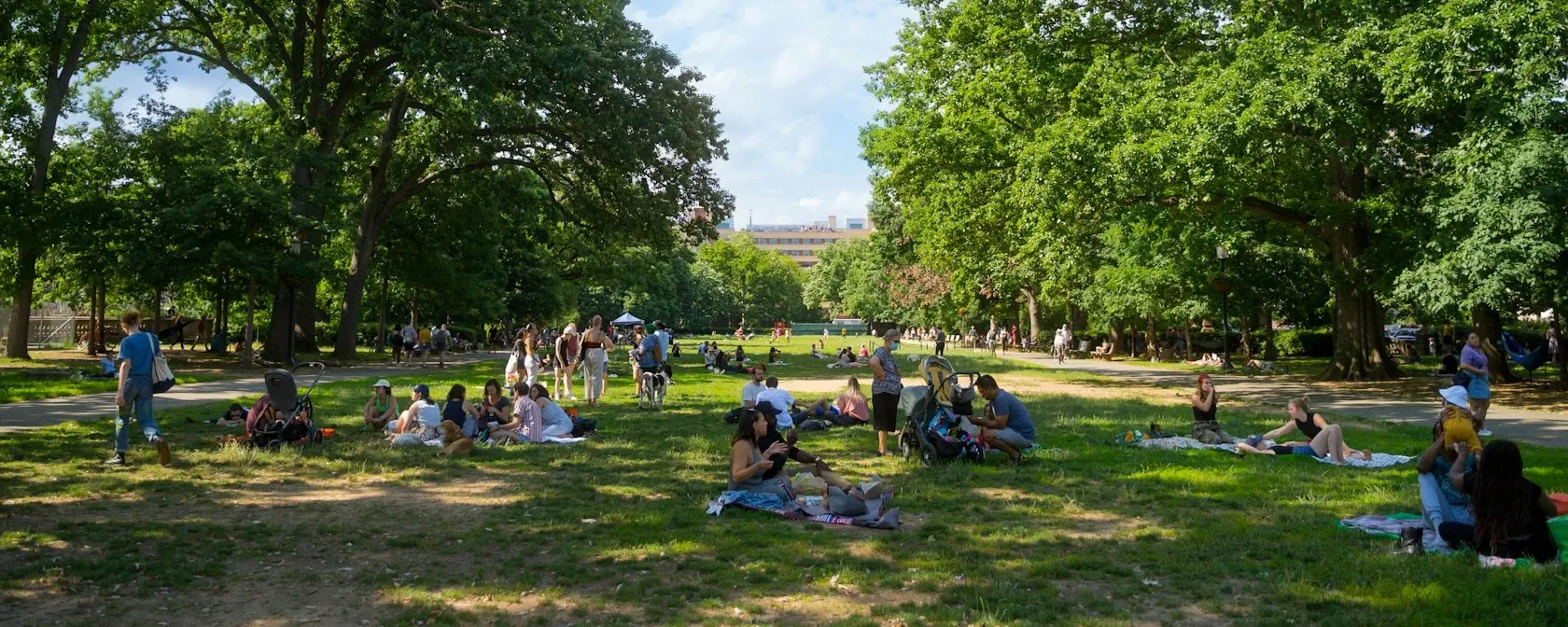 A view of people picnicking in the park in the summertime. 