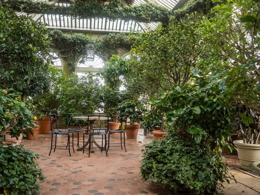 The Orangery at Dumbarton Oaks in Washington, DC features lush greenery and wrought-iron seating beneath a skylit roof.