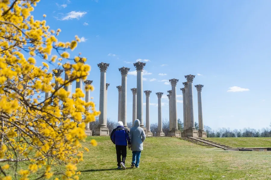 A couple in winter coats walks toward the Capitol Columns at the U.S. National Arboretum. 