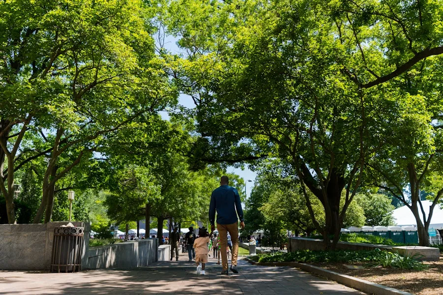 Father and child walking hand in hand under leafy trees on the National Mall.