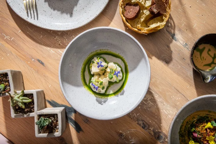 Oyster Oyster DC