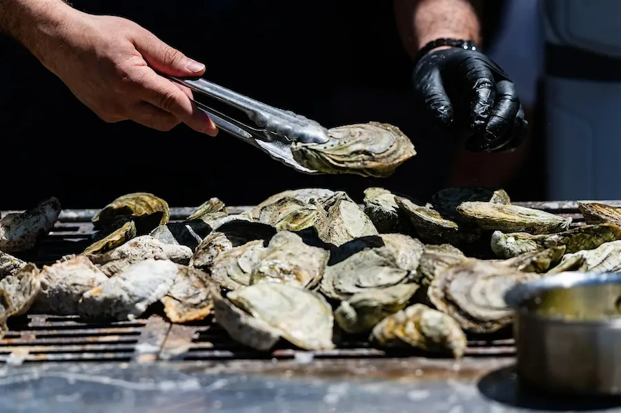 Gloved hands using tongs to prepare oysters on a metal tray
