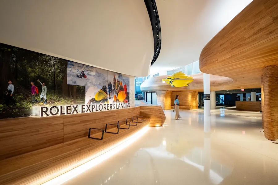 Modern lobby with wood walls, glossy floor and illuminated Rolex display