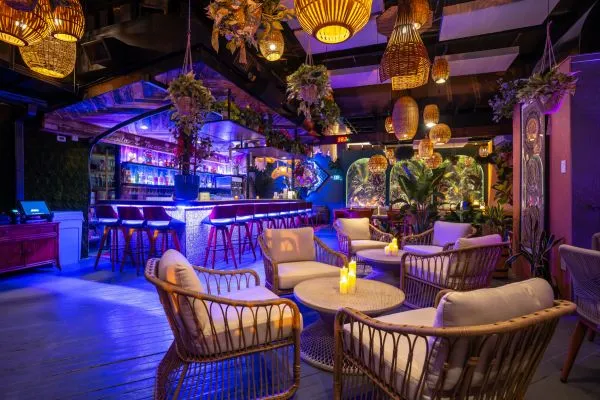 Cozy lounge with wicker chairs, glowing lanterns and purple-blue bar lighting