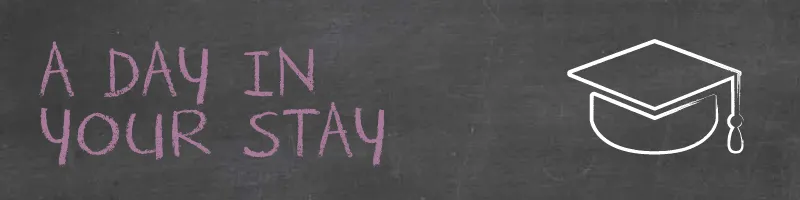 Education a Day in your Stay